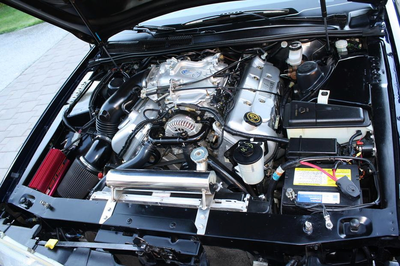 Illustration for article titled For $19,000CA, This 1992 Ford Thunderbird SC Shouts Snakes Alive!